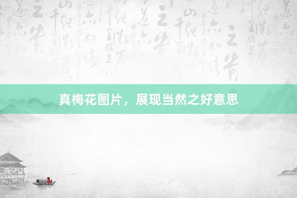 真梅花图片，展现当然之好意思