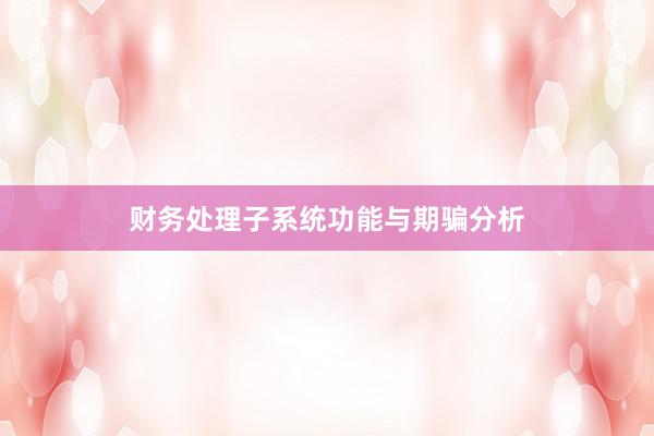 财务处理子系统功能与期骗分析